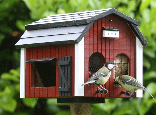 Fare Una Casa Per Gli Uccelli