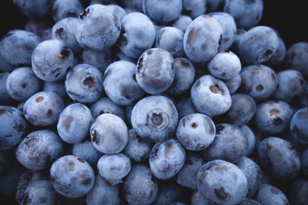 blueberries 690072 1280 coltivare facile