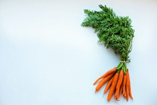 carrots 2485051 1280 coltivare facile