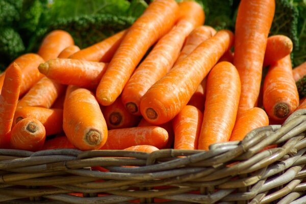 carrots 673184 1280 coltivare facile